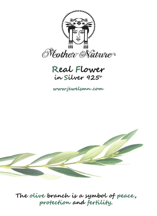 Sterling Silver Hoop Earrings: Olive Leaf Design, Gold Plated
